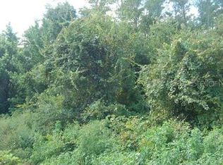 Raulerson Rd, Frostproof, FL 33843