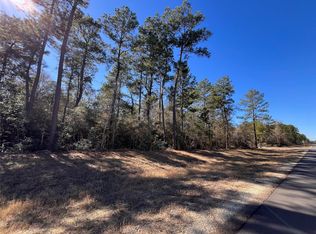 86 Coyote Run, Willis, TX 77378