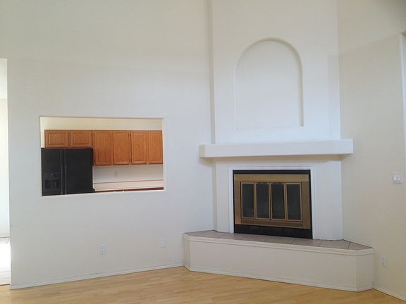 Wood burn fire place