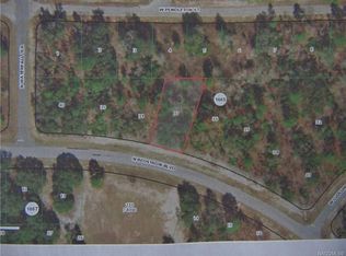 6587 N Bedstrow Blvd, Citrus Springs, FL 34434