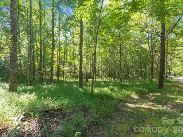 80 Breeze Wood Dr, Bryson City, NC 28713