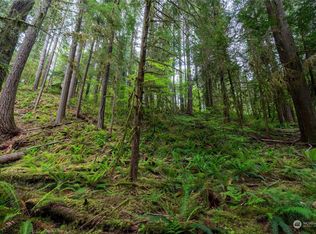 6948 Baker Cir, Glacier, WA 98244