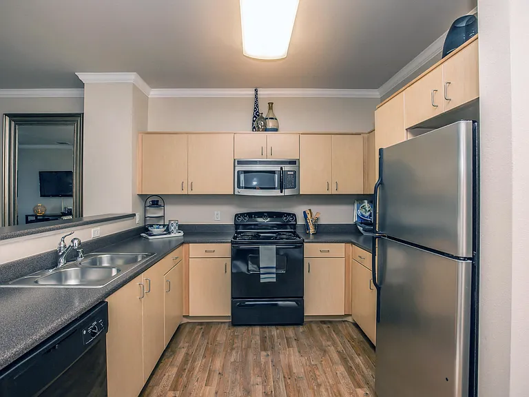 1A1 763-801 SQ FT 1 Bed 1 Bath