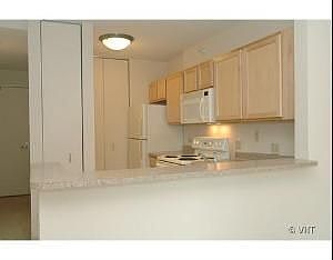 3rd image of 222 N Columbus Dr APT 1006
