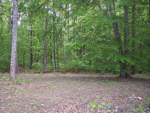 1st image of 0 Hopkins Ln Lot 102