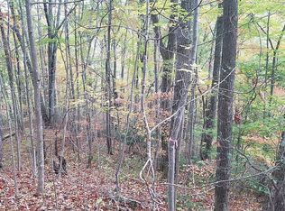 Route 80, Honaker, VA 24260