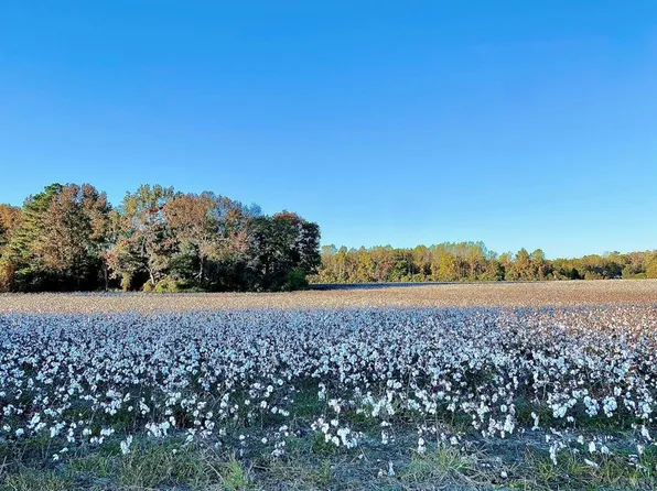 Tbd Yellow Hammer Road, Tyner, NC 27980