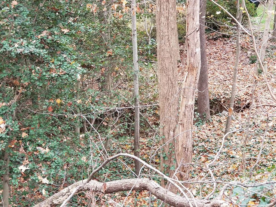 2nd image of 9516 Fernleigh Dr