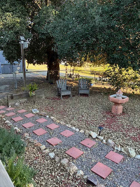 Front yard