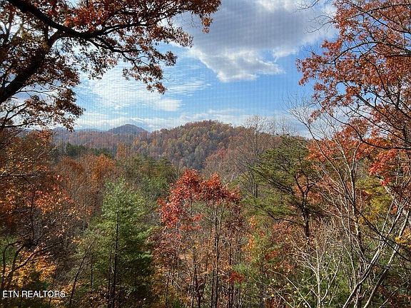 3rd image of 419 Sassafras Trl
