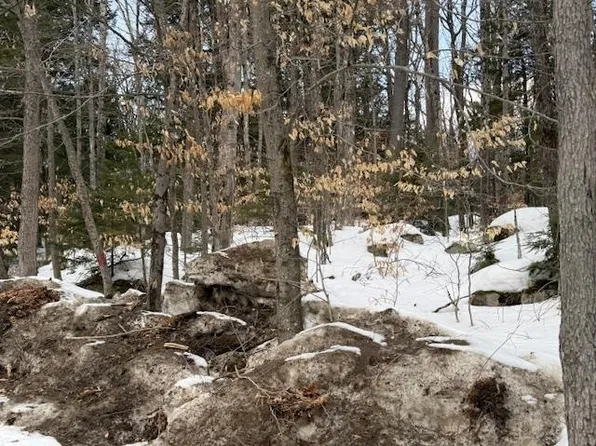 Map 6 Lot 103 Route 16, Albany, NH 03818