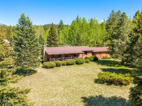 7 County Road 2043, Alpine, AZ 85920