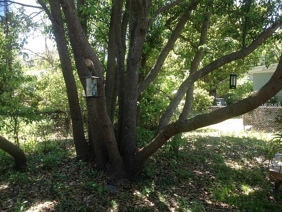 5th image of 101 Pinecrest Dr