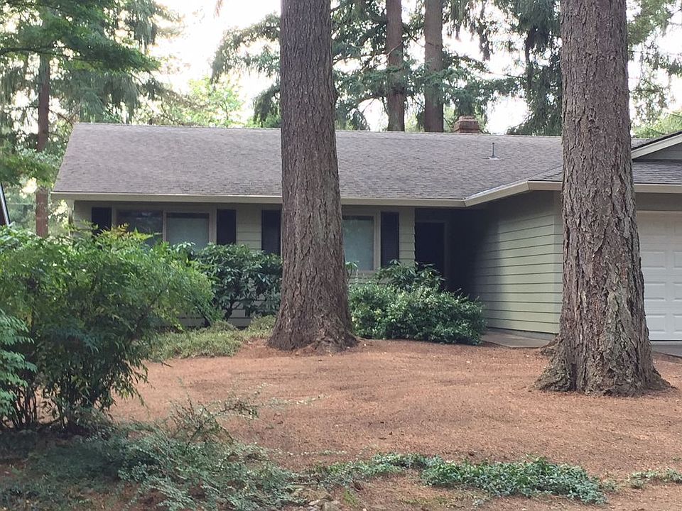 Natural setting w- Fir Trees