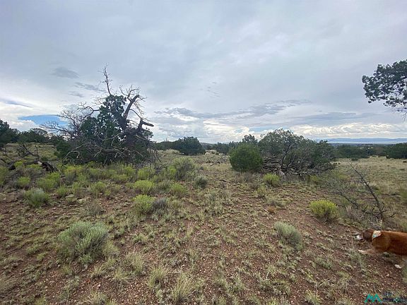 2nd image of 76 Wildwood Loop