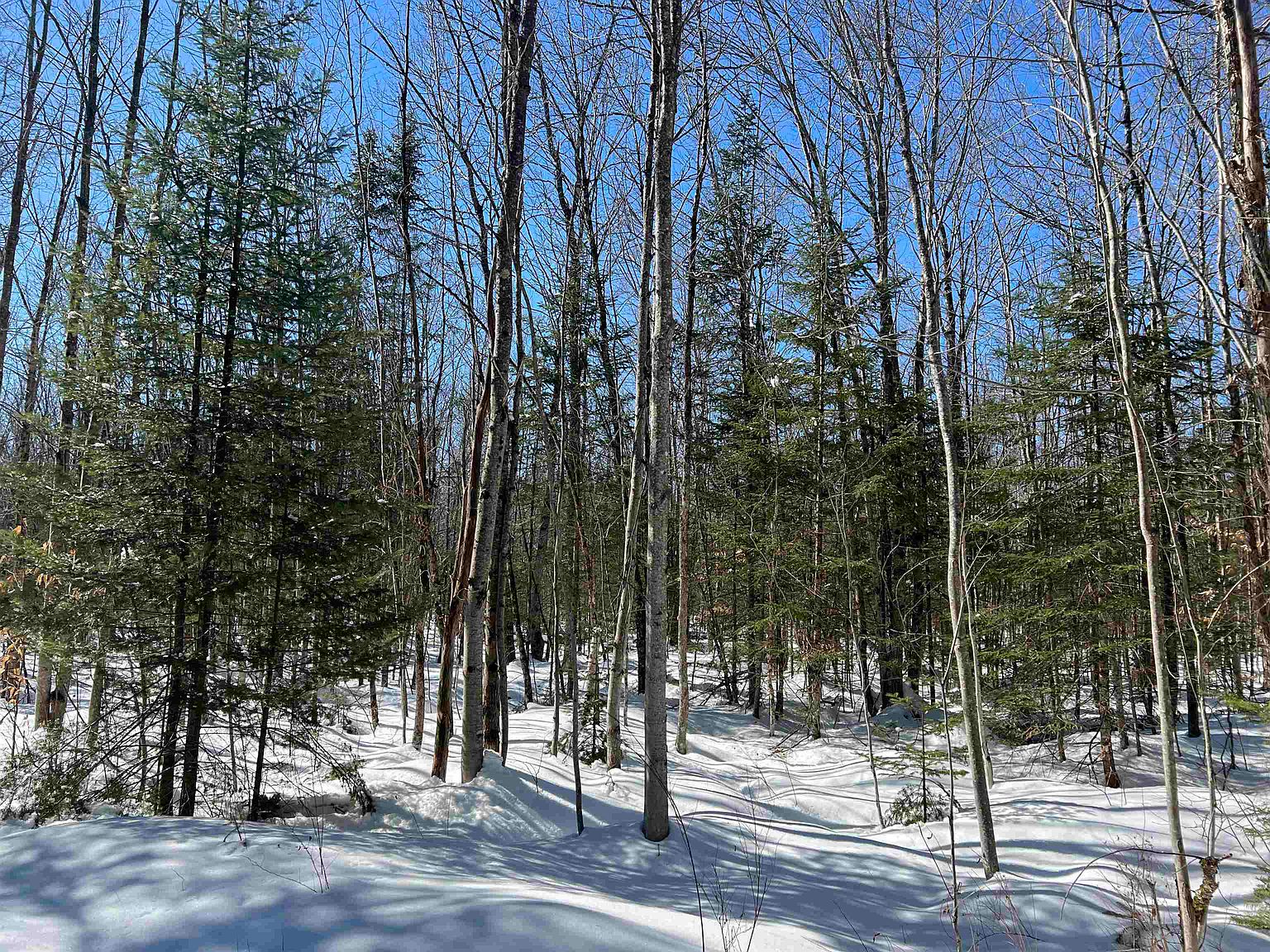 0 McDuffee Trail, Newbury, VT 05051 MLS 4945216 Zillow