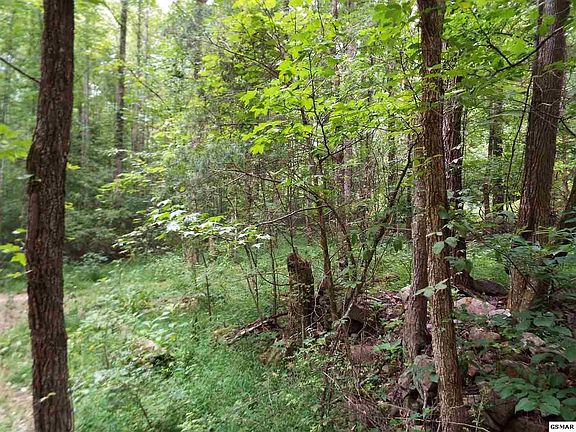 5th image of 653 Timber Lake Dr