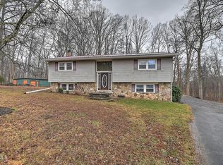 156 Reynolds Hills Dr, Rogersville, TN 37857