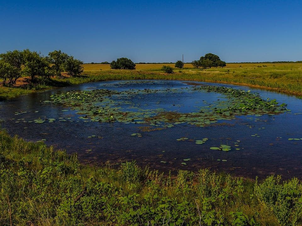 North Furr Ranch - Land for Sale in Young County, TX