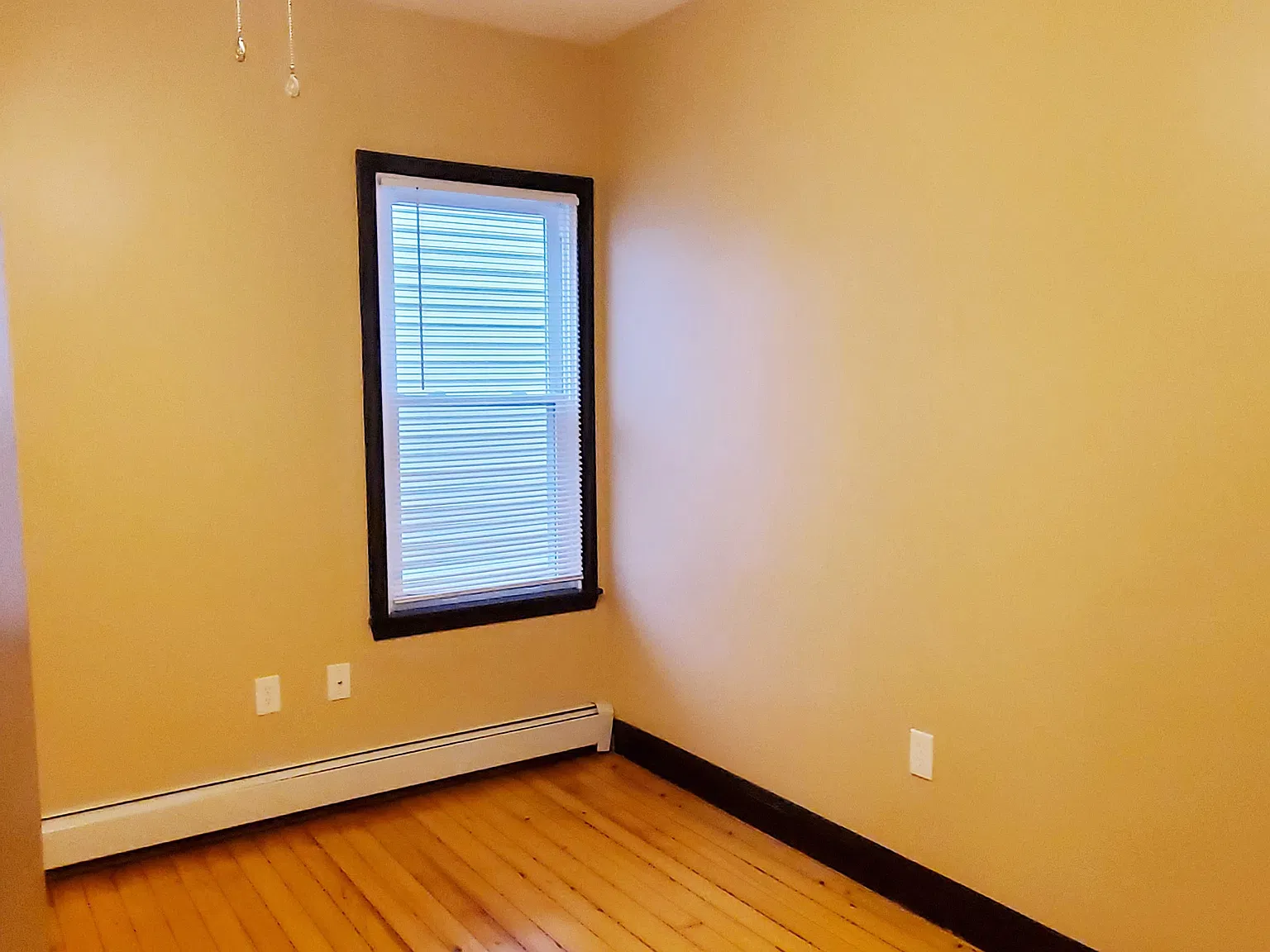 572 Bradford Avenue — Photo 4