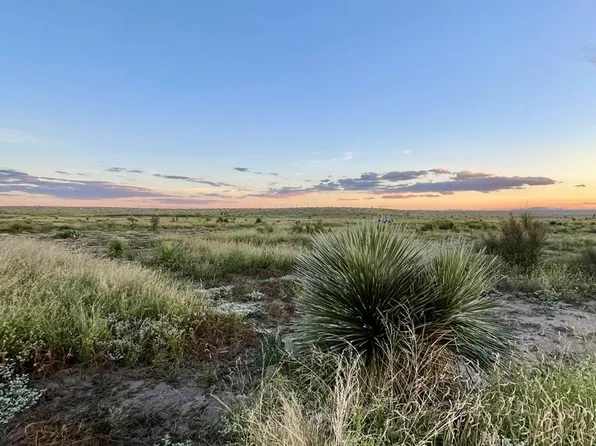 1851 Rabbits Rd, Marfa, TX 79843