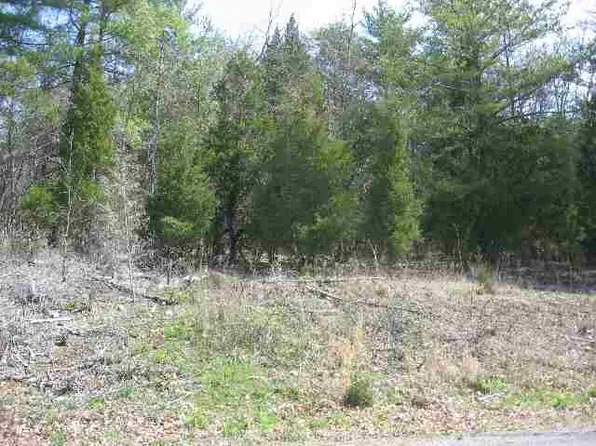 Pin Hook Rd, Spring City, TN 37381