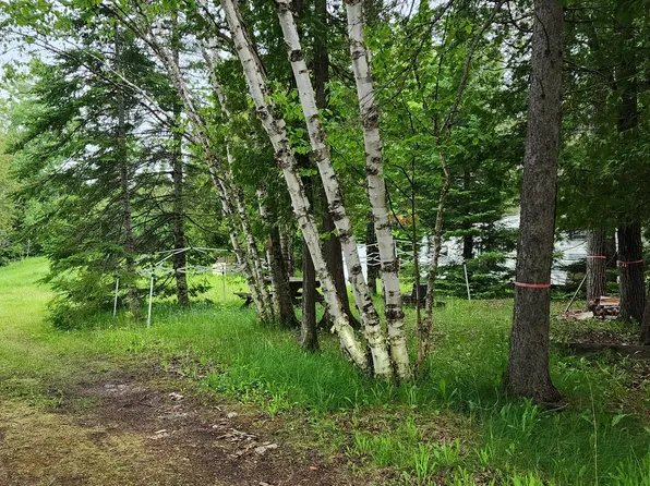 26928 S Point Aux Frenes Rd, Goetzville, MI 49736