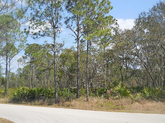 2nd image of 1157 Vesper Sparrow Ave