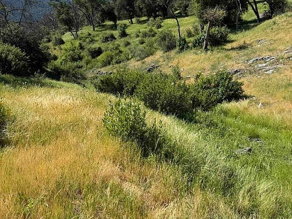 4th image of 109 Trampa Cyn