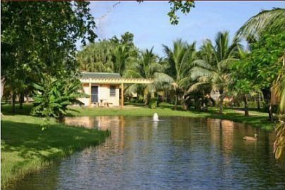 Grounds