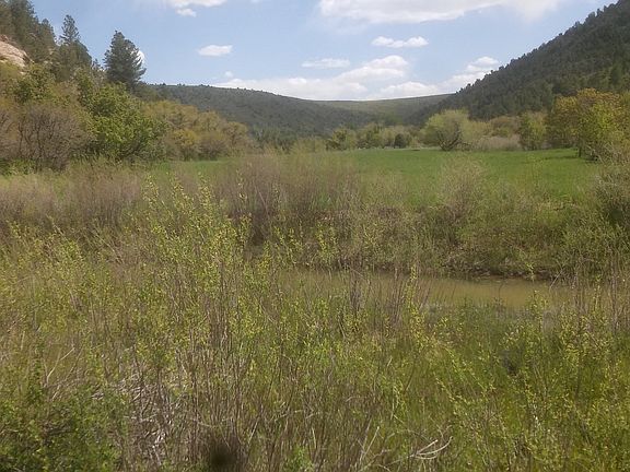 2nd image of Cherry Creek Property