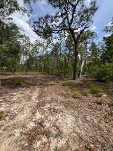 110 SLIPPER Way, Hawthorne, FL, 32640