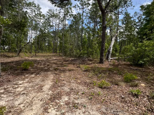 110 SLIPPER Way, Hawthorne, FL 32640