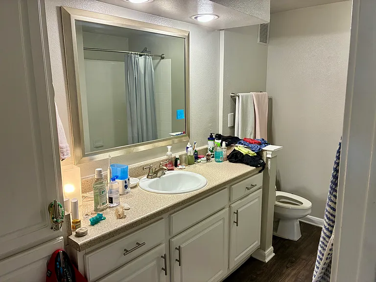 26OO Lake Austin Blvd #10303 — Photo 6