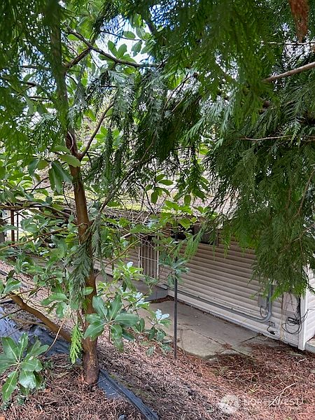 3rd image of 2816 SW Dakota Street