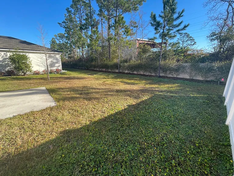 Back yard