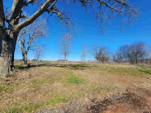 8134 Cedar Rd, Gilmer, TX 75644