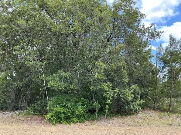 Malauka Loop Lot 4, Ocklawaha, FL 32179