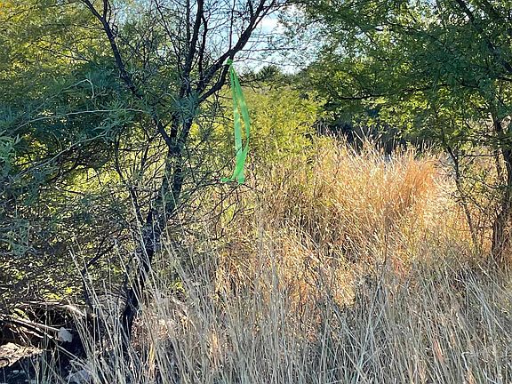 5th image of 110 The Oak #5