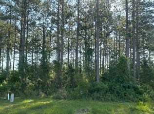 106 Beach Head Ct, Kingsland, GA 31548