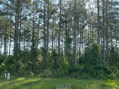 106 Beach Head Ct, Kingsland, GA, 31548