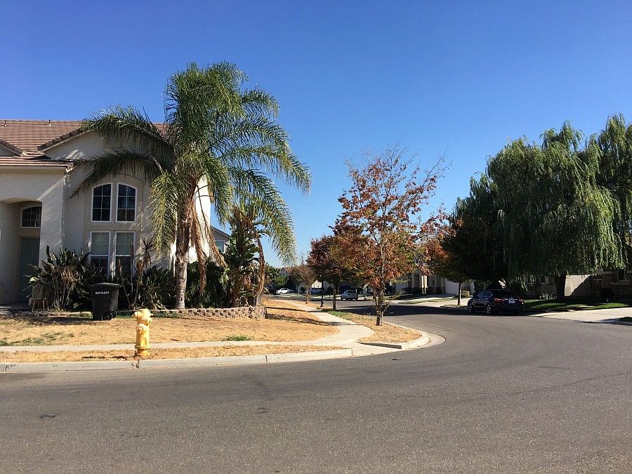 2nd image of 606 Beck Creek Ln