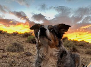 38 Stope Rd, Dayton, NV 89403