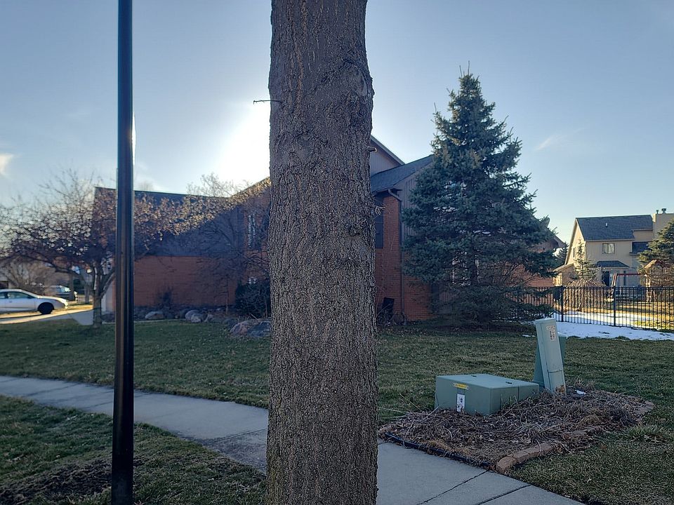 2nd image of 37207 Tara Dr