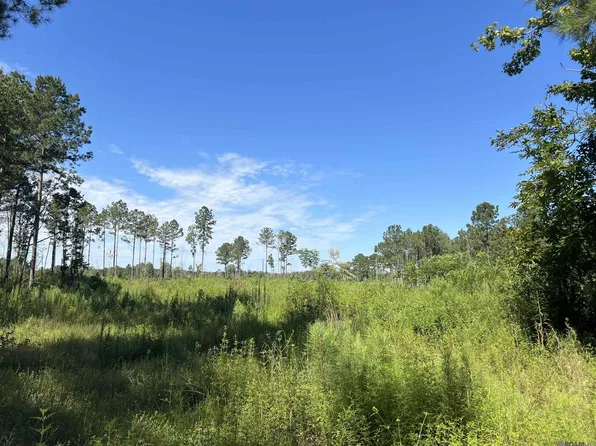 Willie Redden Rd, Greensburg, LA 70441