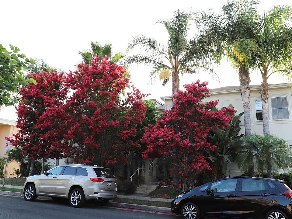 1st image of 837 Alandele Ave