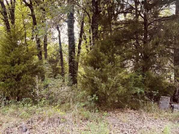 141 Elk Cove Dr, Mabank, TX 75156