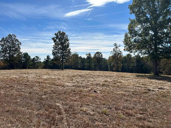 LOT 48 County Road 367, Crane Hill, AL 35053