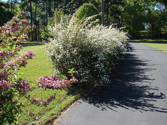 Springtime front drive