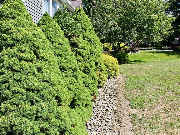 3rd image of 3133 Bay Rd